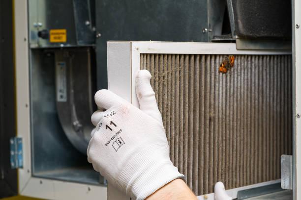 Best Local Air Duct Cleaning Services  in Lake Summerset, IL