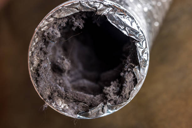 Best Affordable Duct Cleaning Services  in Lake Summerset, IL