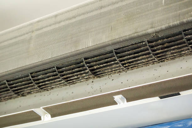 Best Emergency Air Duct Cleaning  in Lake Summerset, IL
