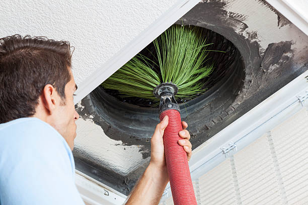 Best Air Duct Mold Removal  in Lake Summerset, IL